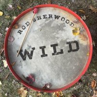 Rod Sherwood - Wild (2023) MP3
