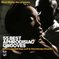 VA - 55 Best Aphrodisiac Grooves (2023) MP3