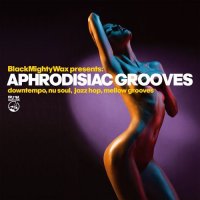 VA - Aphrodisiac Grooves (2021) MP3