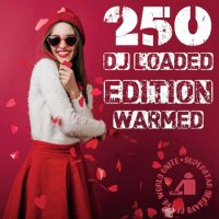 VA - 250 DJ Loaded - Edition Warmed (2023) MP3