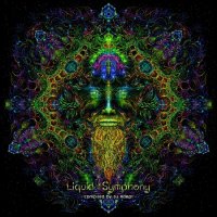 VA - Liquid Symphony (2023) MP3