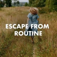 VA - Escape From Routine (2023) MP3