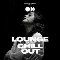VA - Lounge Meets Chill Out, Vol. 3 (2023) MP3