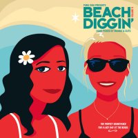 VA - Beach Diggin', Vol. 5 (2017) MP3