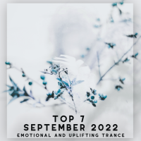 VA - Top 7 September 2022 (2022) MP3