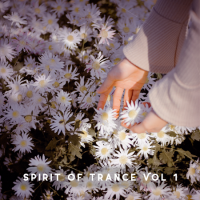 VA - Spirit of Trance [01] (2023) MP3