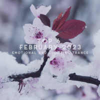 VA - Top 6 February 2023 (2023) MP3