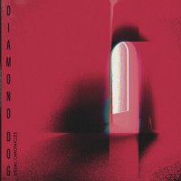 Diamond Dog - Usual Chronicles (2023) MP3