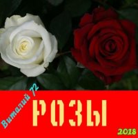 Cборник - Розы от Виталия 72 (2018) MP3