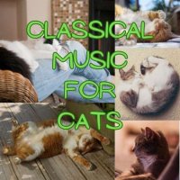 VA - Classical Music for Cats (2023) MP3