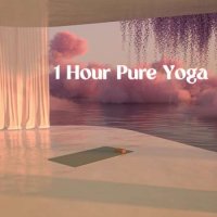 VA - 1 Hour Pure Yoga (2023) MP3