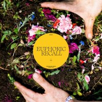 Braids - Euphoric Recall (2023) MP3