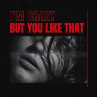 VA - i'm crazy but you like that (2023) MP3