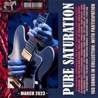 VA - Pure Saturation (2023) MP3