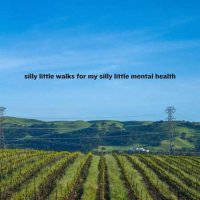 VA - silly little walks for my silly little mental health (2023) MP3