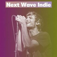 VA - Next Wave Indie (2023) MP3