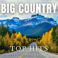 VA - Big Country Top Hits (2023) MP3