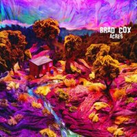 Brad Cox - Acres (2023) MP3