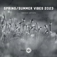 VA - Spring / Summer Vibes 2023 (2023) MP3