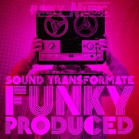 VA - Funky Music Sound Transformate (2023) MP3