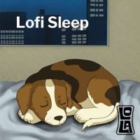 VA - Lofi Sleep by Lola (2023) MP3