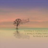 VA - Soothing & Sophisticated, Calming & Healing Tunes for Body & Soul (2023) MP3