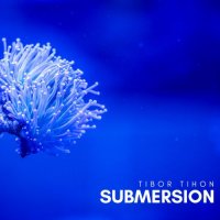 Tibor Tihon - Submersion (2022) MP3