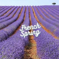 VA - French Spring (2023) MP3