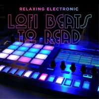 VA - LoFi Beats to Read. Relaxing Electronic (2021) MP3