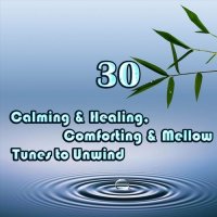 VA - Calming & Healing, Comforting & Mellow Tunes to Unwind (2023) MP3
