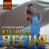 Владимир Песня - А Жизнь Идет (2023) MP3