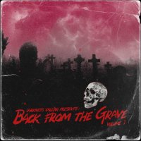VA - Back From the Grave - Vol. 1 (2023) MP3