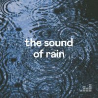 VA - The Sound of Rain (2023) MP3