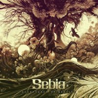 Sebia - Acceptance Of Reality (2023) MP3