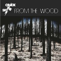 Crack The Sky - From The Wood (2023) MP3