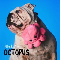Black Drop - Octopus (2023) MP3