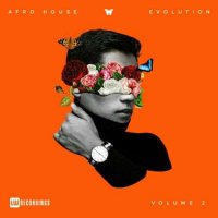 VA - Afro House Evolution, Vol. 02 (2023) MP3