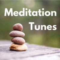 VA - Meditation Tunes (2023) MP3