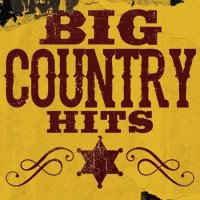 VA - Big Country Hits (2023) MP3