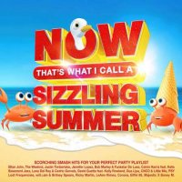 VA - Now That's What I Call A Sizzling Summer [4CD] (2023) MP3