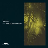 VA - Best Of Summer 2023 (2023) MP3