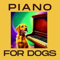 VA - Piano for Dogs (2023) MP3