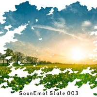 VA - SounEmot State [03] (2022) MP3