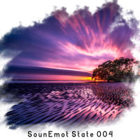 VA - SounEmot State [04] (2022) MP3