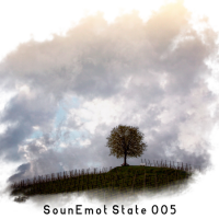VA - SounEmot State [05] (2022) MP3