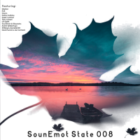 VA - SounEmot State [08] (2022) MP3
