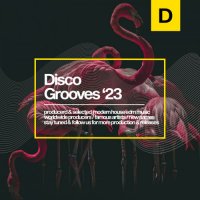 VA - Disco Grooves 2023 (2023) MP3