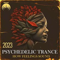 VA - How Feelings Sound (2023) MP3