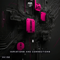 VA - Variations and Connections [02] (2023) MP3