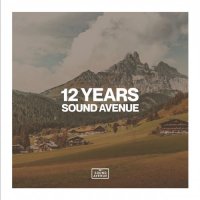 VA - 12 Years Sound Avenue (2023) MP3